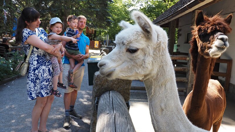 Tierpark Bischofswerda Abbildung Tierpark Bischofswerda